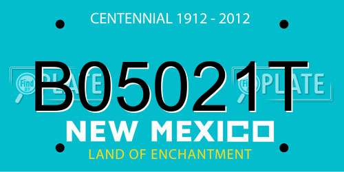 B05021T New Mexico License Plate
