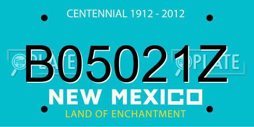 B05021Z New Mexico License Plate