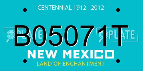 B05071T New Mexico License Plate