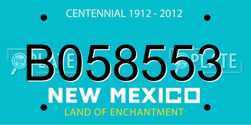 B058553 New Mexico License Plate