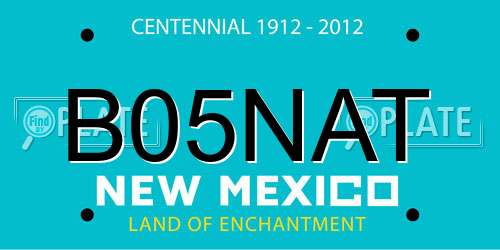 B05NAT New Mexico License Plate