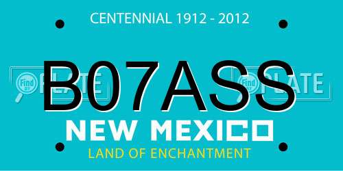 B07ASS New Mexico License Plate