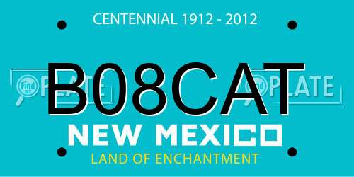 B08CAT New Mexico License Plate