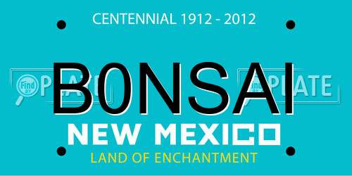 B0NSAI New Mexico License Plate