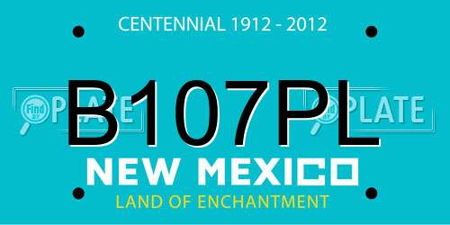 B107PL New Mexico License Plate