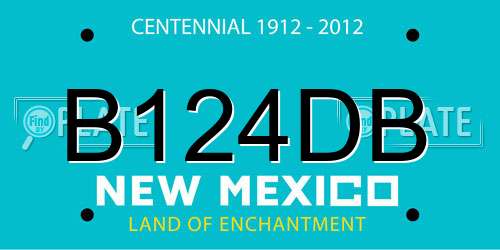 B124DB New Mexico License Plate