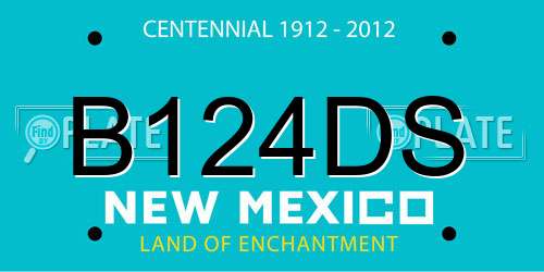 B124DS New Mexico License Plate