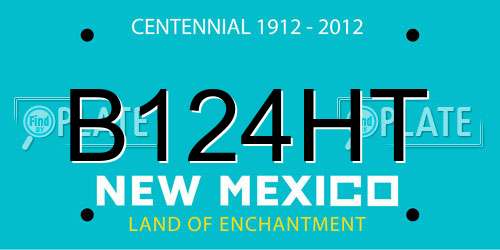 B124HT New Mexico License Plate
