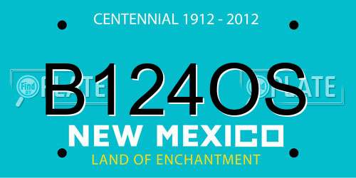 B124OS New Mexico License Plate