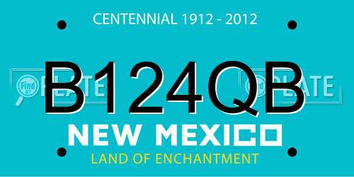 B124QB New Mexico License Plate