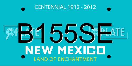 B155SE New Mexico License Plate