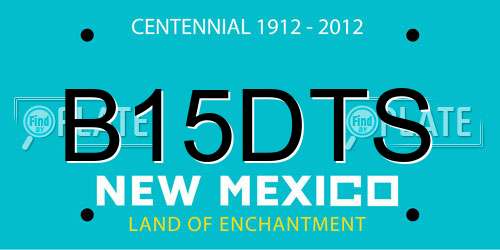 B15DTS New Mexico License Plate