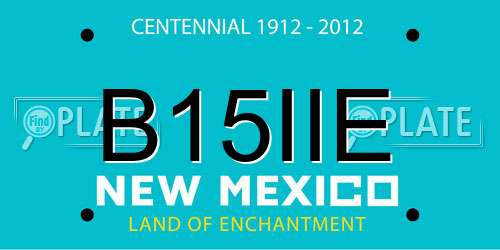 B15IIE New Mexico License Plate