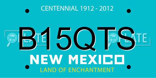 B15QTS New Mexico License Plate