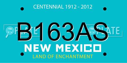 B163AS New Mexico License Plate