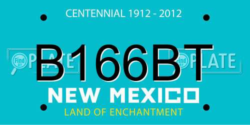 B166BT New Mexico License Plate