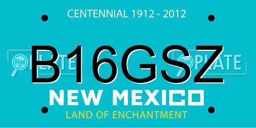 B16GSZ New Mexico License Plate