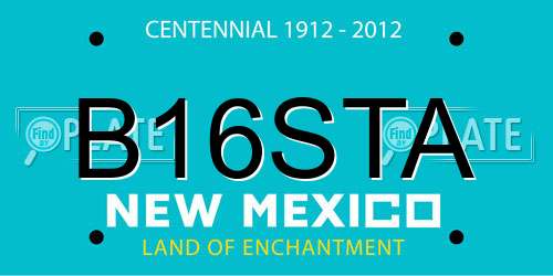 B16STA New Mexico License Plate