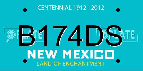 B174DS New Mexico License Plate