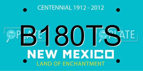 B180TS New Mexico License Plate