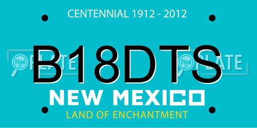 B18DTS New Mexico License Plate