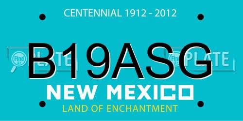 B19ASG New Mexico License Plate