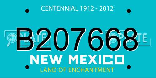 B207668 New Mexico License Plate