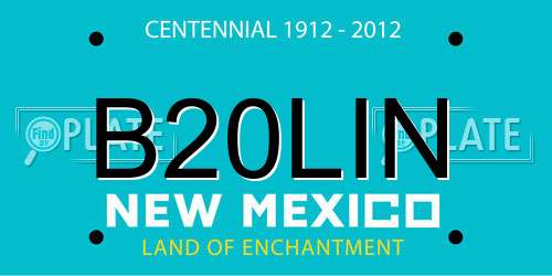 B20LIN New Mexico License Plate