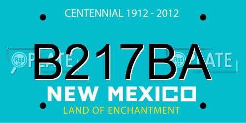 B217BA New Mexico License Plate