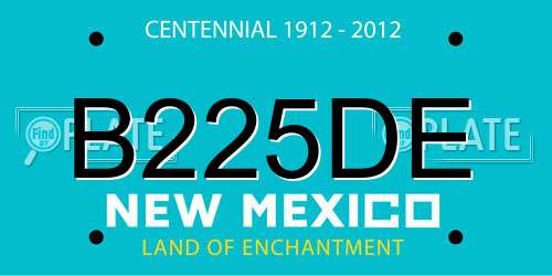 B225DE New Mexico License Plate