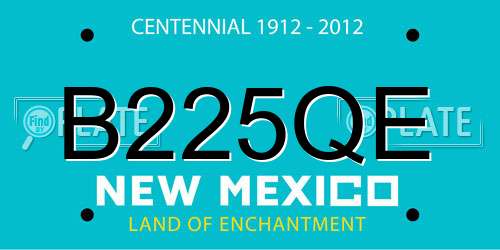 B225QE New Mexico License Plate