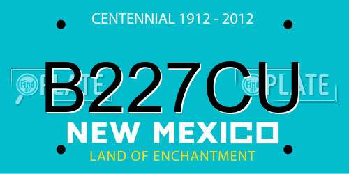B227CU New Mexico License Plate