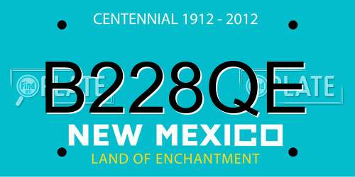 B228QE New Mexico License Plate