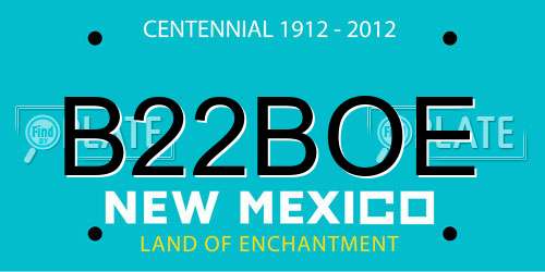 B22BOE New Mexico License Plate