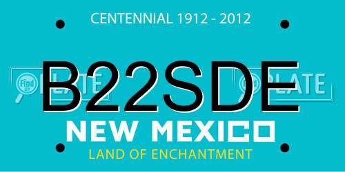 B22SDE New Mexico License Plate