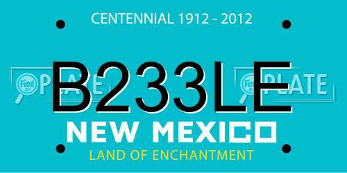 B233LE New Mexico License Plate
