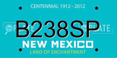 B238SP New Mexico License Plate