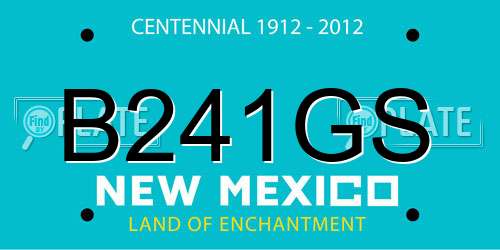 B241GS New Mexico License Plate