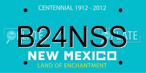 B24NSS New Mexico License Plate