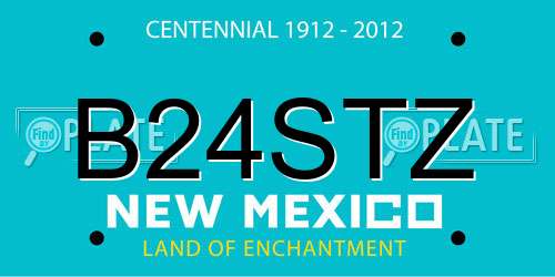 B24STZ New Mexico License Plate