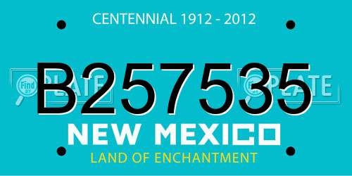 B257535 New Mexico License Plate