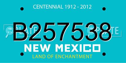B257538 New Mexico License Plate