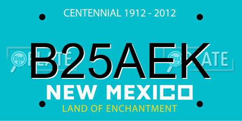 B25AEK New Mexico License Plate