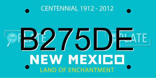 B275DE New Mexico License Plate