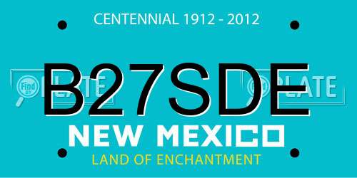 B27SDE New Mexico License Plate