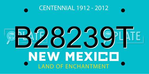 B28239T New Mexico License Plate