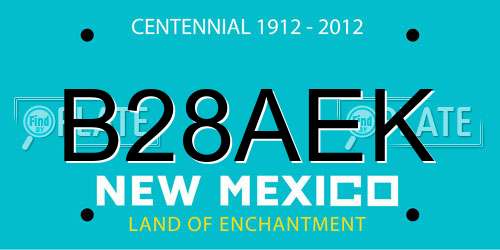 B28AEK New Mexico License Plate