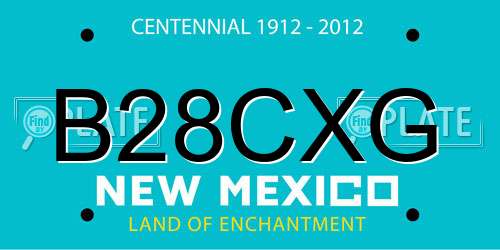 B28CXG New Mexico License Plate