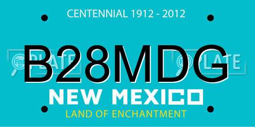 B28MDG New Mexico License Plate
