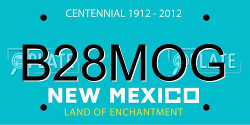 B28MOG New Mexico License Plate
